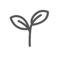 A garden plant